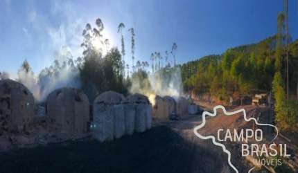FAZENDA 165 HECTARES EM CARVALHOS COM POTENCIAL TURÍSTICO E CARVOEIRO!