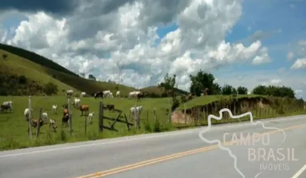 ÁREA RURAL 14 ALQUEIRES EM PINDAMONHANGABA NO ASFALTO!