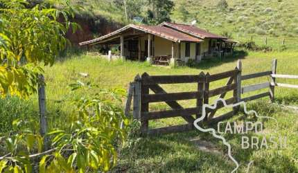 Sítio com curral, nascente, pasto formado.