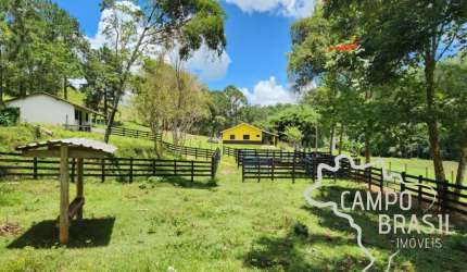 SÍTIO 8 ALQUEIRES EM LAGOINHA !