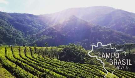 MARAVILHOSA FAZENDA 54 HECTARES EM CARVALHOS - MG !