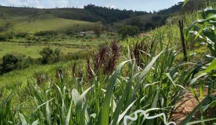 SÍTIO 3,7 HECTARES FORMADO EM PARAIBUNA !