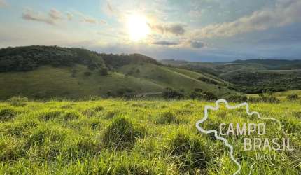 ÁREA RURAL 3,5 ALQUEIRES Á 2KM DO ASFALTO  COM PASTO FORMADO E NASCENTE  EM JAMBEIRO !