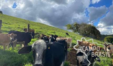 FAZENDA 26 HECTARES FORMADA COM EXCELENTE ESTRUTURA NO SUL DE MINAS GERAIS !