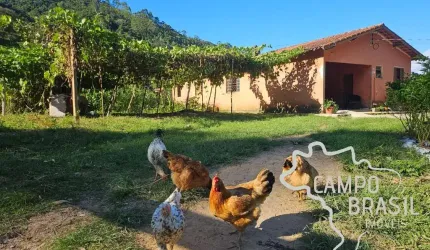 SÍTIO 9,7 ALQUEIRES EM PARAIBUNA !