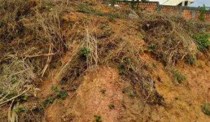 Lote Terreno Urbano Ipatinga - MG - Caravelas