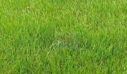 Terreno à venda, 600 m² por R$ 450.000,00 - Granja Viana - Cotia/SP