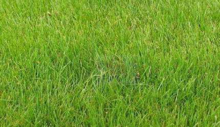 Terreno à venda, 1000 m² por R$ 600.000,00 - Granja Viana - Cotia/SP