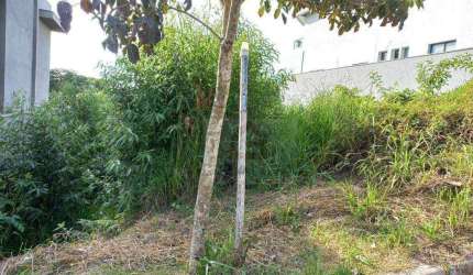 Terreno à venda, 500 m² por R$ 595.000,00 - São Paulo II - Cotia/SP