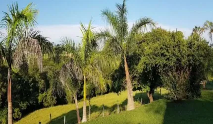 Terreno em condomínio fechado à venda no Centro, Porto Feliz  por R$ 3.850.000