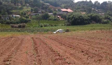 Terreno à venda em Mogi das Cruzes-SP, Volta Fria: 54.000 m² de área! Venha conferir essa oportunidade única!