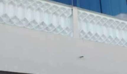 Casa em condomínio fechado com 2 quartos à venda na Avenida dos Mananciais, Taquara, Rio de Janeiro, 60 m2 por R$ 380.000