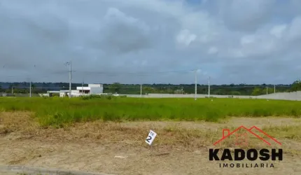 Terreno à venda em Feira de Santana-BA, bairro Sim, 250m² de área. Aproveite essa oportunidade única!