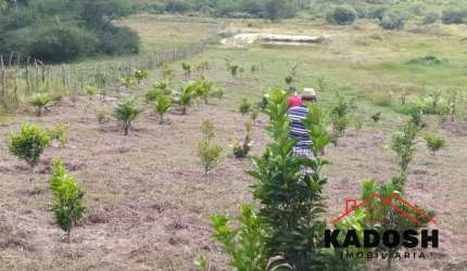 Terreno à venda em Feira de Santana-BA - Bairro Tomba - 4.600m² de área. Imperdível oportunidade de investimento!
