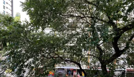 Apartamento para venda com 155 metros quadrados com 4 quartos em Copacabana - Rio de Janeiro - RJ