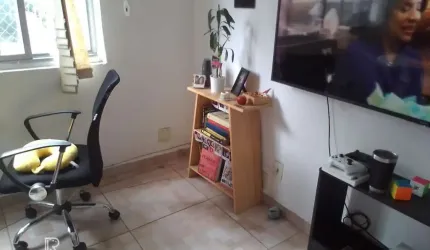 Apartamento Padrão com 2 dormitorios e 70m² de area -  sem vaga