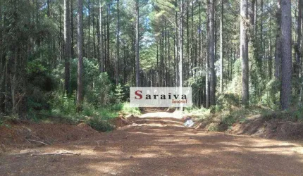 Fazenda à venda, 45770000 m² por R$ 750.000.000,00 - Área Rural de Avaré - Avaré/SP