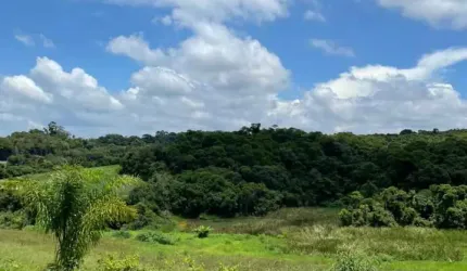 L1- Transforme sua vida com o seu futuro lote!