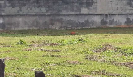TERRENO EM ALPHAVILLE CONSTRUÇÃO PRÉDIO COMERCIAL OU GALPÕES