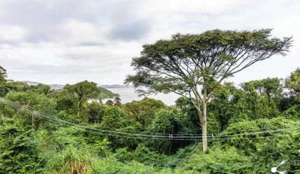 TERRENO, 1.236m, SETIMO CEU, PORTO ALEGRE, RS