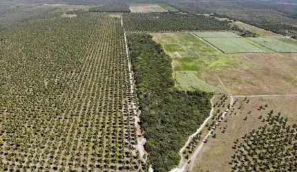 fazenda 800 hectares perfeitas para enegia solar e eóloicas.