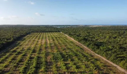 SITIO tem 17 hectares Paripueira - Beberibe - CE