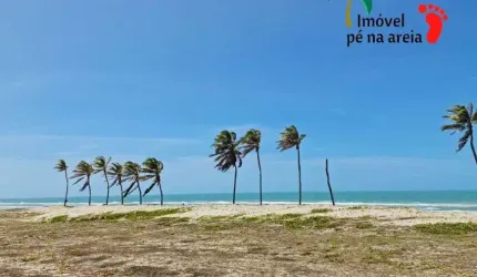 Terreno FRENTE MAR 60 metros frente por 120 7200 metros quadrados em Morro Branco - Beberibe - CE