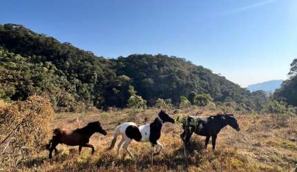 Terreno à venda - 67.000m2 - Luminosa