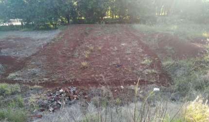 Terreno, 445 m² - venda por R$ 480.000,00 ou aluguel por R$ 1.558,85/mês - Jardim Atami - Maringá/PR