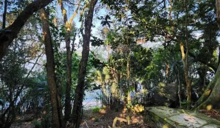 Terreno à venda Pedra Redonda Porto Alegre/RS