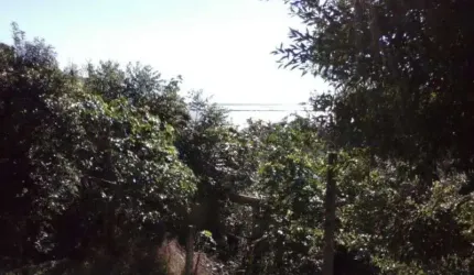 Terreno para Venda - 456.5m², 0 dormitórios, Santa Tereza