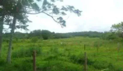 Área comercial com 48964m² para venda no bairro Aberta Dos Morros