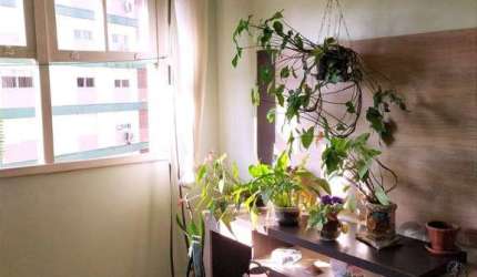Apartamento de 2 dormitórios com vaga no bairro Petrópolis