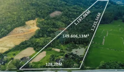 Terreno industrial com frente para a BR-470