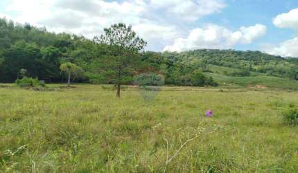 Terreno para Chácara em Apiúna com 20.000 m²