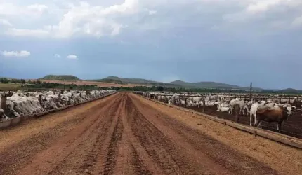 Fazenda para Venda em Ponte Alta do Tocantins, Zona Rural