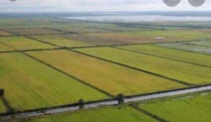 Fazenda para Venda em Formoso do Araguaia, Centro