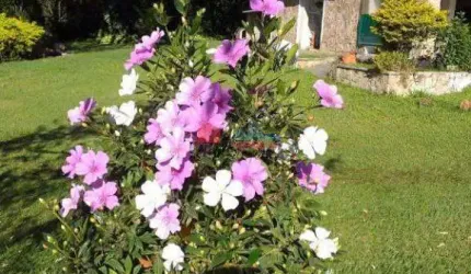 Chácara à venda Dois Córregos em Valinhos