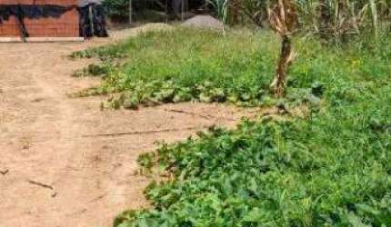 Terreno para aluguel Chácaras São Bento em Valinhos