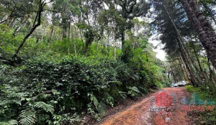Terreno à venda Monte Verde em Camanducaia