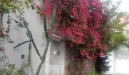 Casa Sobrado em Santana  -  São Paulo