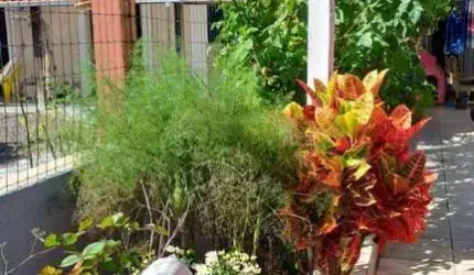 Casa para Venda em Tramandaí, Nova Tramandaí, 2 dormitórios, 2 banheiros, 1 vaga