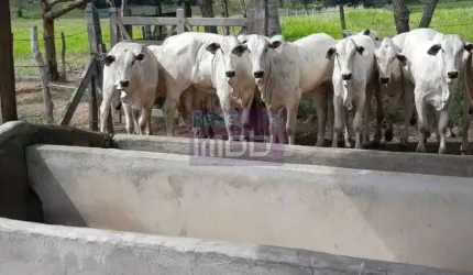 Fazenda Porteira Fechada em Salgado-SE