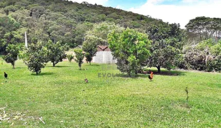 Lindo Sítio - Bairro Varginha - Santo Amaro da Imperatriz/SC