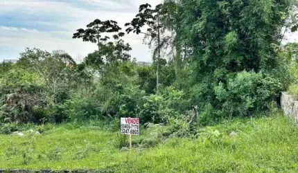 Terreno à venda, 360 m² por R$ 290.000,00 - Morro da Bina - Biguaçu/SC