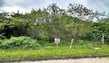 Terreno à venda, 360 m² por R$ 290.000,00 - Morro da Bina - Biguaçu/SC