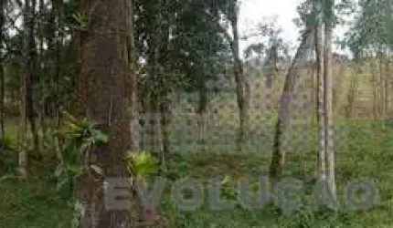 Chácara com 20.000m², Selo Orgânico em Rancho Queimado SC