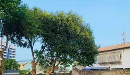 Lote / Terreno em Buraquinho  -  Lauro de Freitas