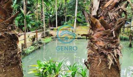 Chácara em Meio a Natureza com Cachoeira, Lagoa e Terreno de 5.000m² à venda em Canelinha/SC