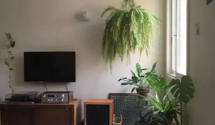 Apartamento em Floresta
